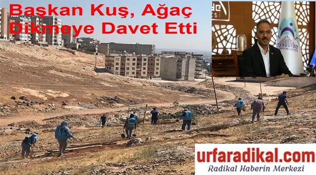 Başkan Kuş, Ağaç Dikerek İşgal Edilmek istenen Yerleri Kurtardı