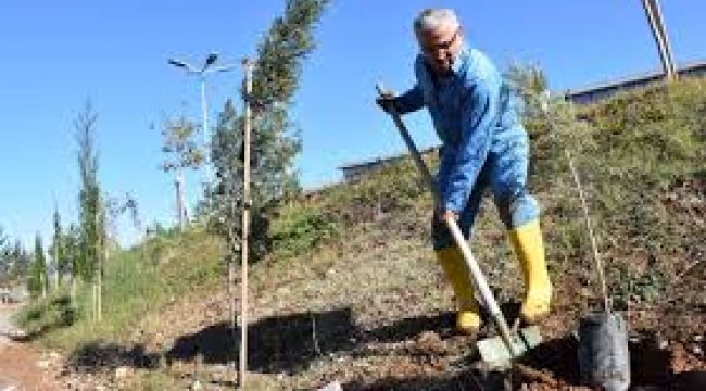 Yıllardır Talep Ediliyordu! Zeynel Başkan Yerine Getirdi