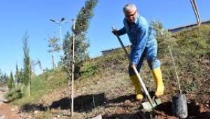 Yıllardır Talep Ediliyordu! Zeynel Başkan Yerine Getirdi