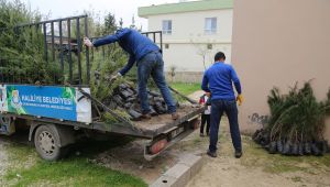 Muhtarlardan Canpolat’a ‘Daha Yeşil Bir Haliliye’ Teşekkürü