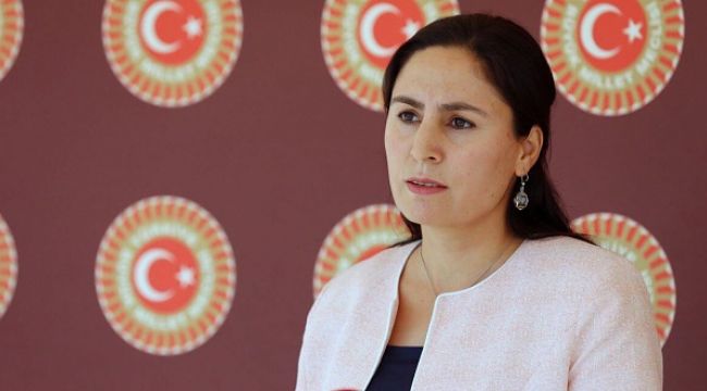 Şanlıurfa’daki kapalı hastaneler meclis gündeminde