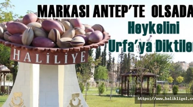 Urfa'da Fıstığın heykelini diktiler