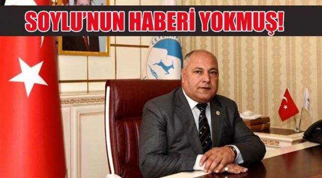 Ceylanpınar'da skandal: Başkanın olup bitenden haberi yok!