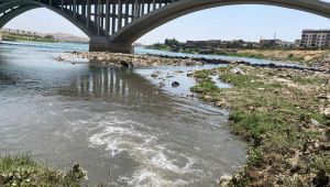 Dicle'ye Kanalizasyonu Bağladılar! CHP'li Tanal'dan Suç Duyurusu