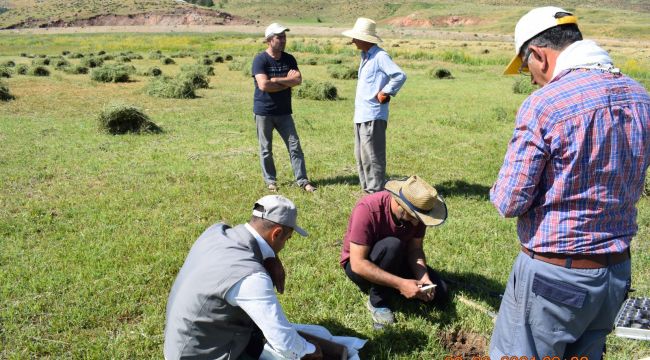 Harran Üniversitesi’nin Pamuk Verimi ile İlgili Projesi, TÜBİTAK Tarafından Kabul Edildi