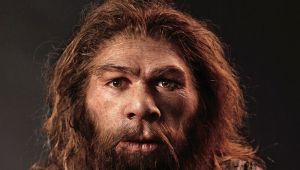 Neandertallerin Kuş Avlama Teknikleri Canlandırıldı