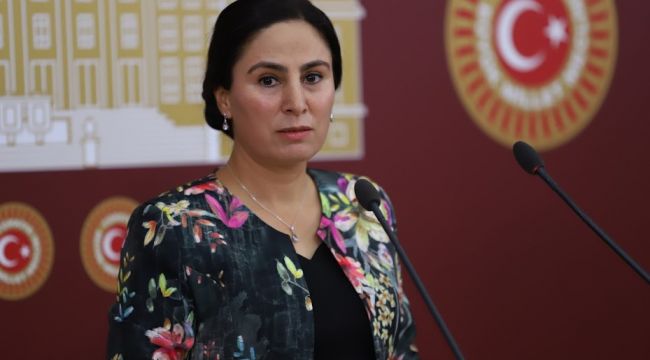  Şanlıurfa Milletvekili Ayşe SÜRÜCÜ, Sosyal Hizmetler Bakanlığına Soru Önergesi İletti