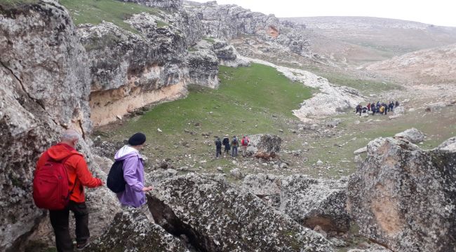 Doğaseverler  “Kadına Şiddete Hayır” Temalı Doğa Yürüyüşü yaptı