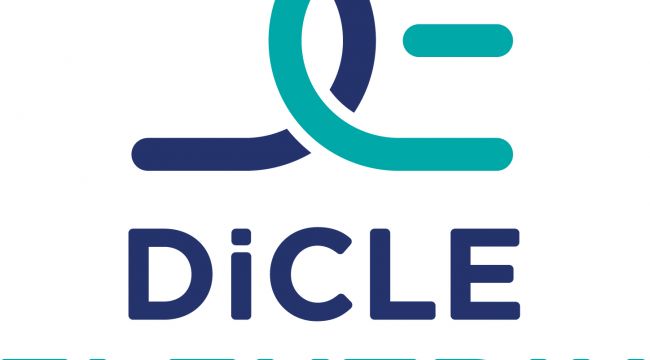 Dicle Elektrik İnşaatçı ve Ağaç Budayıcıları Uyardı