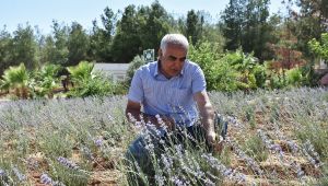 Harran Üniversitesinden Verimsiz Toprakları Verimli Hale Getirme Çalışması