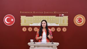 Şanlıurfa Milletvekili Ayşe SÜRÜCÜ'nün Şakran Kadın Kapalı Cezaevi’nde kadın mahpuslara yaşatılan işkenceye ilişkin soru önergesi