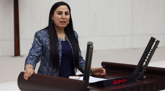 Şanlıurfa Milletvekili Ayşe SÜRÜCÜ, Figen Yüksekdağ'ın Şiir Kitabını Sordu