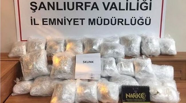 Şanlıurfa'da dev operasyon! 20 kg Skunk ele geçirildi