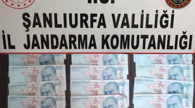 Şanlıurfa İl Jandarma Komutanlığı'ndan Sahte Para operasyonu