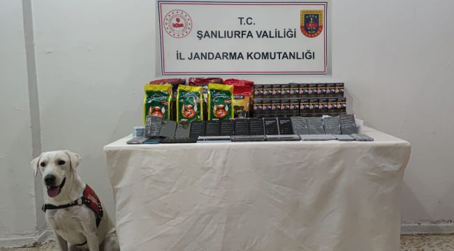 Şanlıurfa İl Jandarma Komutanlığından başarılı operasyon