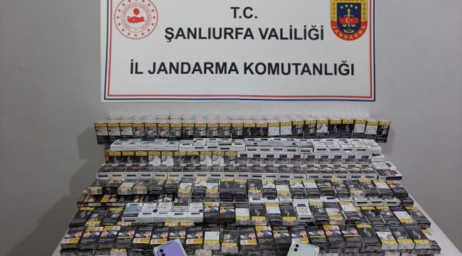 Şanlıurfa İl Jandarma Komutanlığından başarılı operasyon