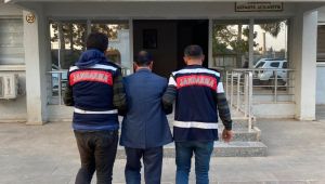 Şanlıurfa Jandarma'dan başarılı kaçak ve şüpheli operasyonu