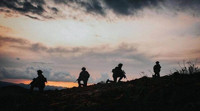 Türkiye'ye sızmaya çalışan DEAŞ üyesi yakalandı