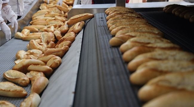 Urfa'da Halk Ekmek Fabrikası üretime başladı