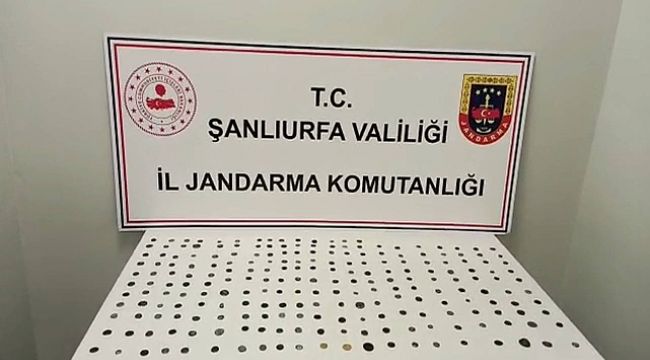 Şanlıurfa'da tarihi eser kaçakçılığı operasyonu