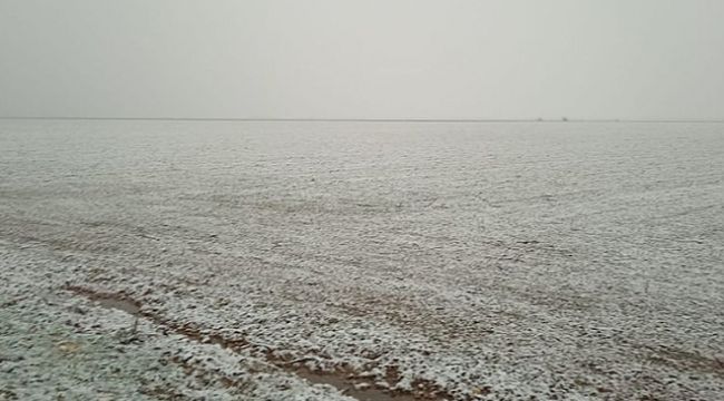 Kuraklık riski vardı! Urfa'daki çiftçilerin yüzü bir nebze de olsa güldü