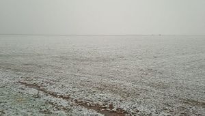 Kuraklık riski vardı! Urfa'daki çiftçilerin yüzü bir nebze de olsa güldü