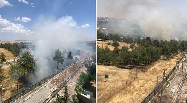 Şanlıurfa'da askeri alanda yangın!