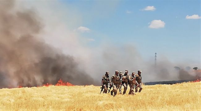 Dicle Elektrik Çalışanlarına Saldırı: Tahsilat için bölgeye giden görevlilerin bulunduğu tarlayı yaktılar 