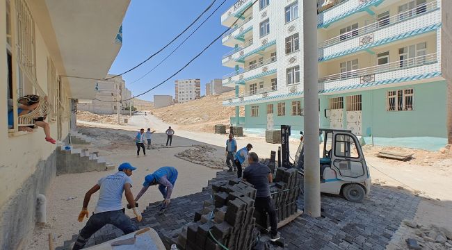 Eyyübiye’de Kış Öncesi Sokak Yenilemeleri Tamamlanacak