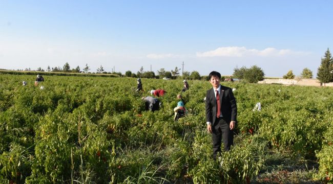 Japonya’dan Hilvan’a Yerel Hibe Desteği