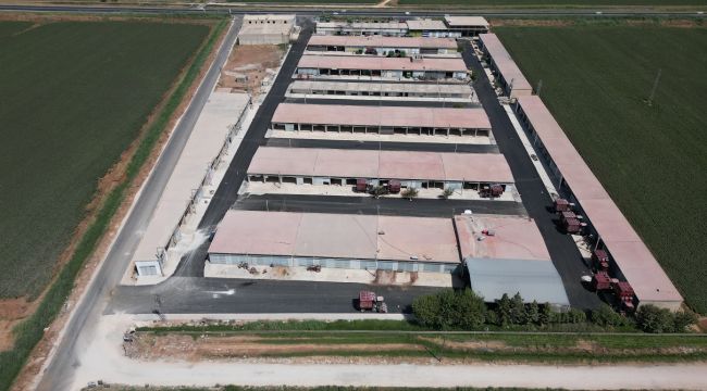 Uğurlu Sanayi Sitesi'nin Asfaltı Tamamlandı