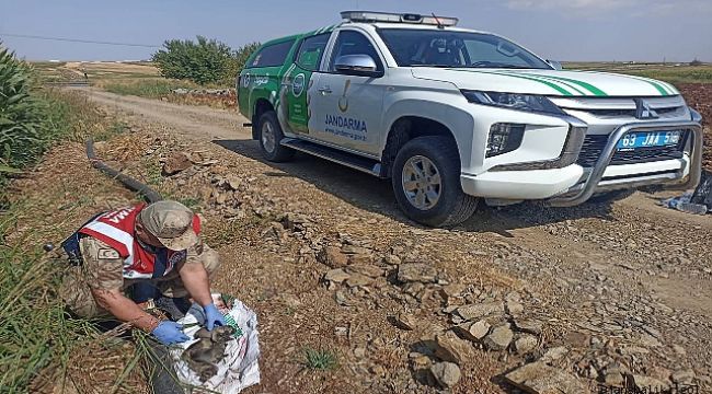 Hilvan'da jandarma ekipleri tarafından araziye atılmış vaziyette bulundu