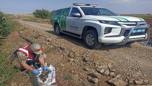 Hilvan'da jandarma ekipleri tarafından araziye atılmış vaziyette bulundu