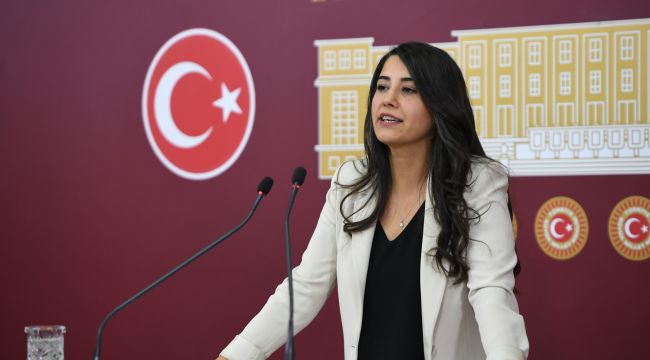 Milletvekili Ayan; Özellikle Kürt göçmenlere karşı yürütülen cadı avlarına son vermeye çağırıyoruz