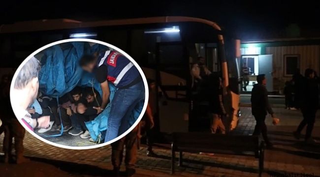 Urfa'da operasyon! Çok sayıda düzensiz göçmen yakalandı