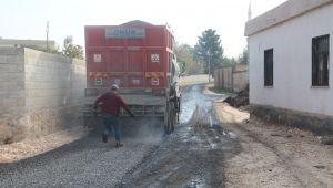 Harran Meydankapı'da Asdalt Çalışmaları Başladı