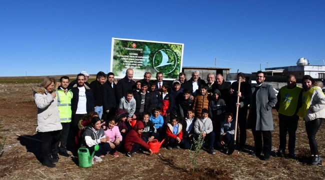 Siverek Belediyesi katma değeri olan fidanları toprakla buluşturuyor