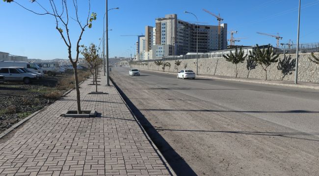 Kent Estetiği Ekipleri Gece Gündüz Çalışmalarını Sürdürüyor 