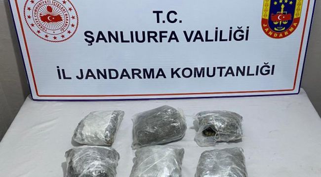 Şanlıurfa Jandarma'dan Skunk operasyonu, 2 kişi gözaltına alındı