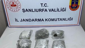 Şanlıurfa Jandarma'dan Skunk operasyonu, 2 kişi gözaltına alındı