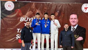 Taekwondo Şampiyonasında DEPSAŞ Enerji Rüzgarı Esti