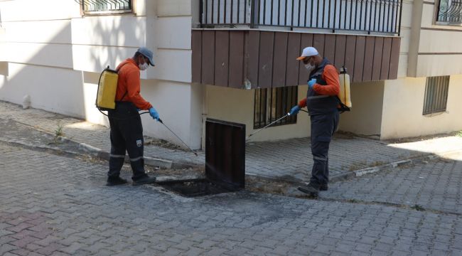 Şanlıurfa Büyükşehir Belediyesi Vektörle Mücadelede İşi Sıkı Tutuyor