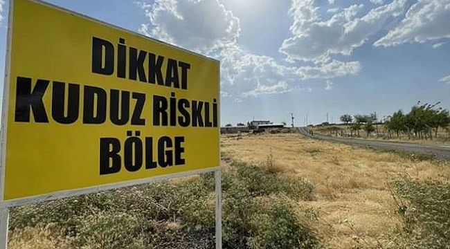 Şanlıurfa'da Kuduz Vakası! Mahalle Karantinaya Alındı