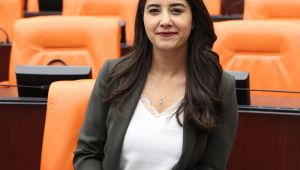 Milletvekili Ayan, Meclise Sokak Hayvanları ile İlgili Soru Önergesi verdi