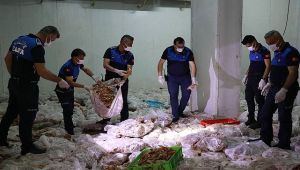 Urfa'da Depo Baskını: 10 Ton Kokmuş Tavuk Eti Ele Geçirildi 