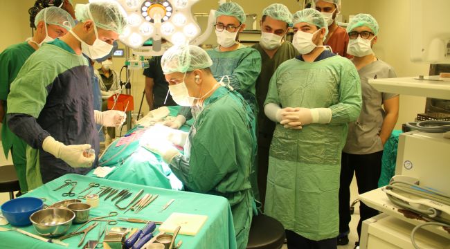 Harran Üniversitesi Hastanesinde Kulak Burun Boğaz Uzmanları Bir Araya Geldi