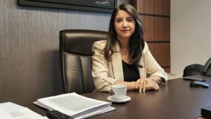 Milletvekili Ayan, Siverek Devlet Hastanesini Meclise Taşıdı