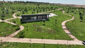 Şanlıurfa Büyükşehir Belediyesi’nden Siverek’e Devasa Park