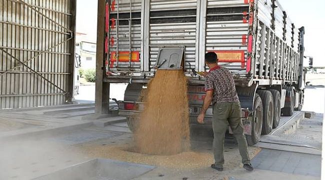 Urfa O Üretimde İlk Sıralarda! Ülke Ekonomisine Katkı Sunuyor