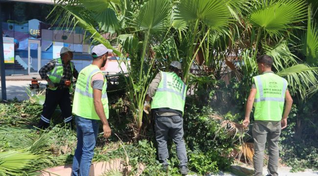 Çocuk Oyun Dünyası Faaliyete Giriyor